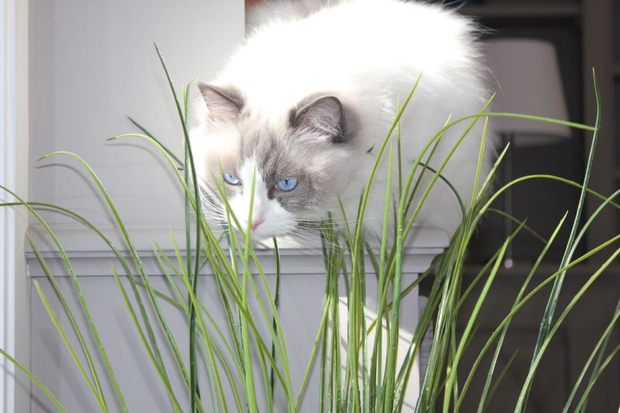 Soreba - Nos réalisations